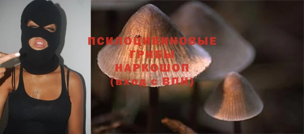 эйфоретик Алзамай