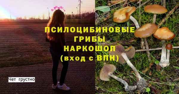 эйфоретик Алзамай