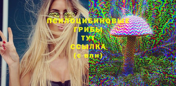 индика Алексин