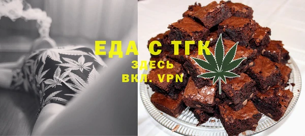 индика Алексин