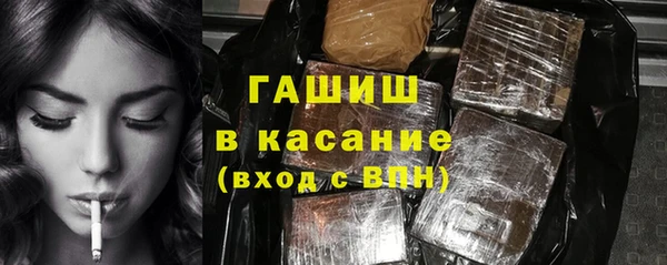 индика Алексин