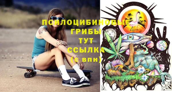 индика Алексин