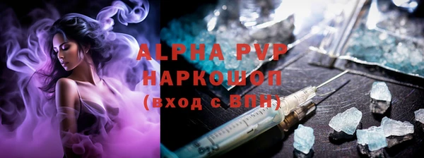 индика Алексин