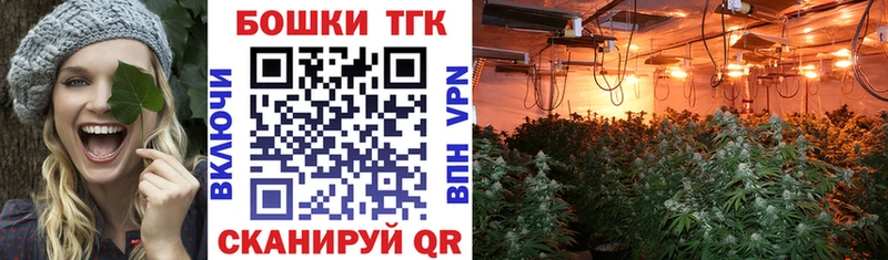 где купить наркоту  Бокситогорск  KRAKEN вход  Конопля OG Kush 
